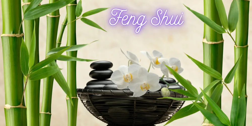 Feng Shui: Harmonizing Your Living Space for Well-Being - ThoughtCanvasAU