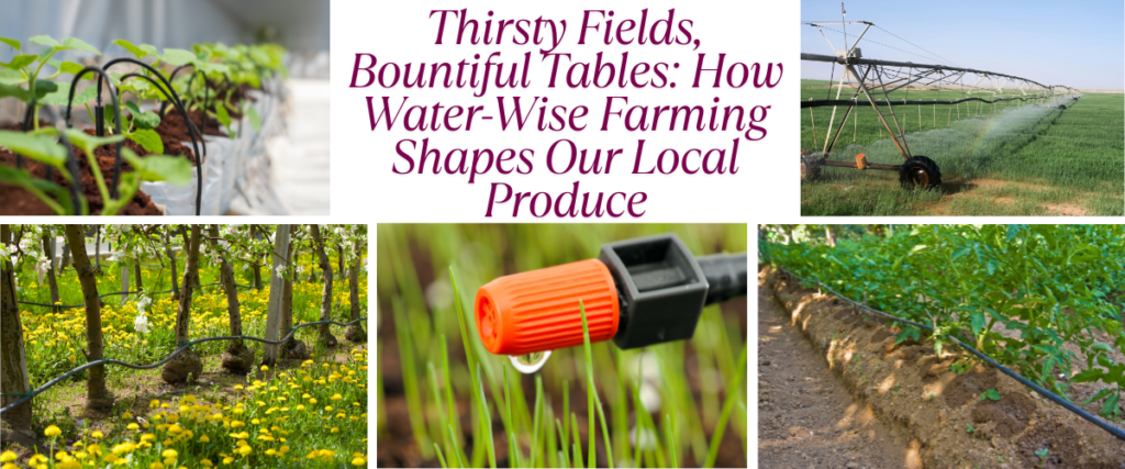 Thirsty Fields, Bountiful Tables: How Water-Wise Farming Shapes Our Local Produce