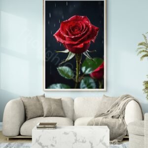 Rose 1 - 2