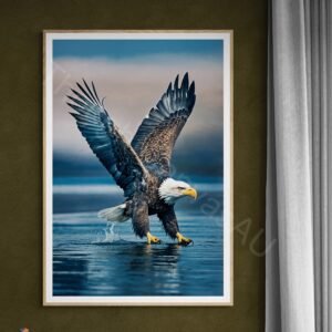 High-resolution photograph of a majestic bald eagle in flight with wings fully extended against a blurred blue background. Detailed view of the white head, dark brown feathers, and sharp yellow beak in dynamic mid-air motion.