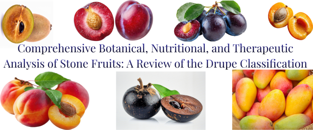 Comprehensive Botanical, Nutritional, and Therapeutic Analysis of Stone Fruits: A Review of the Drupe Classification