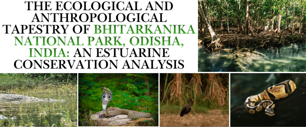 The Ecological and Anthropological Tapestry of Bhitarkanika National Park, Odisha, India: An Estuarine Conservation Analysis