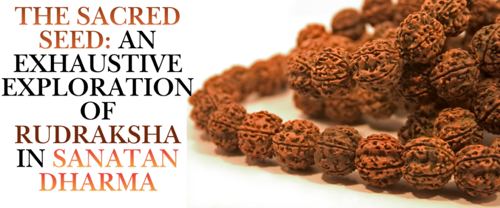 The Sacred Seed: An Exhaustive Exploration of Rudraksha in Sanatan Dharma